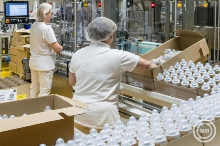 Új program segíti a munkát keresők elhelyezkedését