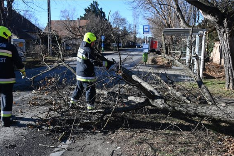 Letört faágak, kidőlt fák miatt kérték a tűzoltók segítségét