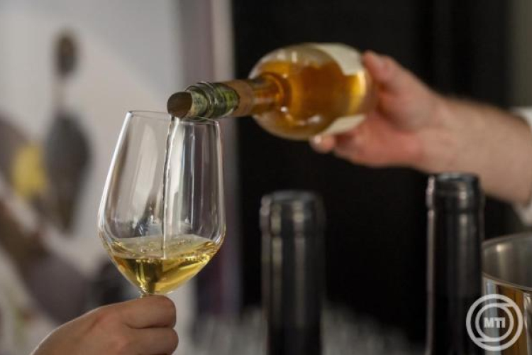 Idén is balatoni termelők nyerték a Magyar Bor Nagydíjat